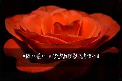 ๋ฏธ๋๋๋ฌธ์ ๋น๊ฐฑ์ ์ ๊ธฐ๋ณดํ ์ ํํ๊ฒ