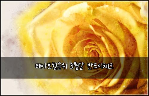 태아보험순위 3월달 반드시체크