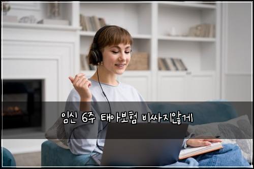 μμ 6μ£Ό νμ보ν λΉμΈμ§μκ²