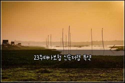 23주태아보험 신속저렴  특약