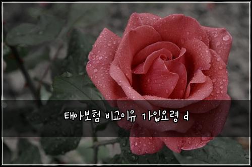 ํ์๋ณดํ ๋น๊ต์ด์ ๊ฐ์
์๋ น d