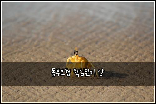 ๋๋ถ๋ณดํ ํต์ฌ์ง๊ธฐ ์