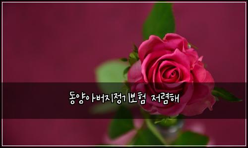 동양아버지정기보험 저렴해 