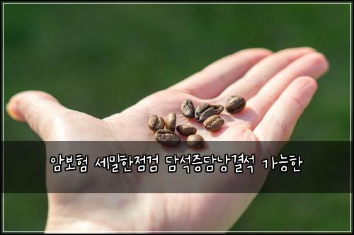암보험 세밀한점검  담석증담낭결석 가능한