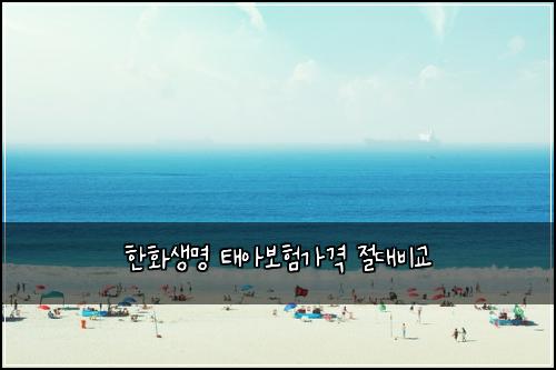 한화생명 태아보험가격 절대비교