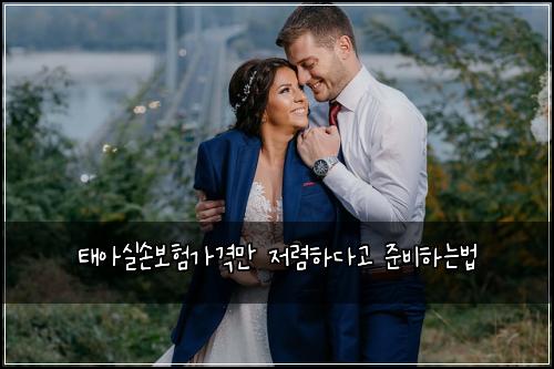 νμμ€μ보νκ°κ²©λ§ μ λ ΄νλ€κ³ μ€λΉνλλ²