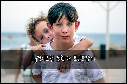 lig정기보험 정확해  포인트잡기