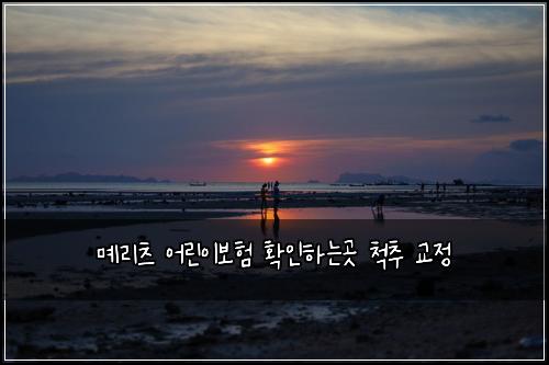๋ช๋ฆฌ์ธ ์ด๋ฆฐ์ด๋ณดํ ํ์ธํ๋๊ณณ ์ฒ์ถ ๊ต์ 