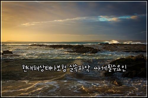현대해상태아보험 실속파악 싸게필수요인