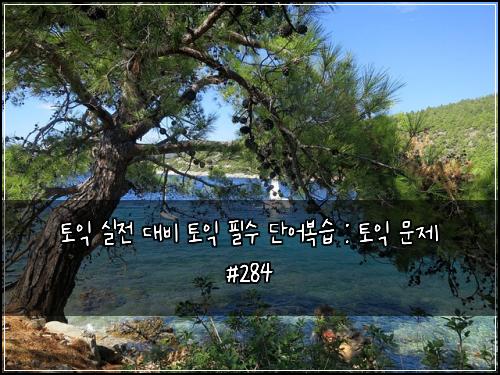 토익 실전 대비 토익 필수 단어복습 : 토익 문제 #284