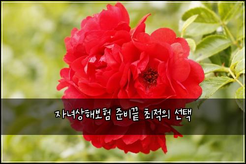 자녀상해보험 준비끝  최적의 선택