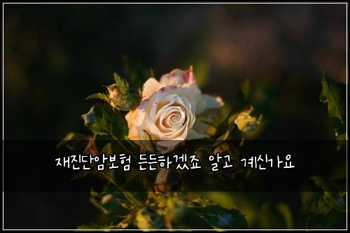 재진단암보험 든든하겠죠  알고 계신가요