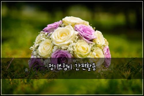정기보험비 간편활용