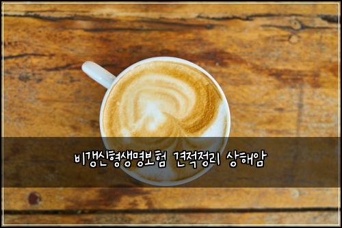비갱신형생명보험 견적정리  상해암