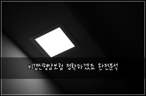 비갱신형암보험 정확하겠죠  완전분석