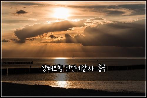 상해보험 단번에알자  흥국