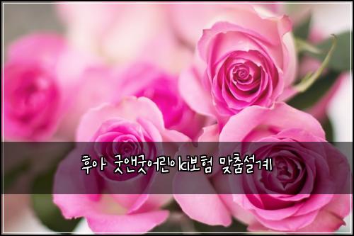ํ์ ๊ตฟ์ค๊ตฟ์ด๋ฆฐ์ดci๋ณดํ ๋ง์ถค์ค๊ณ