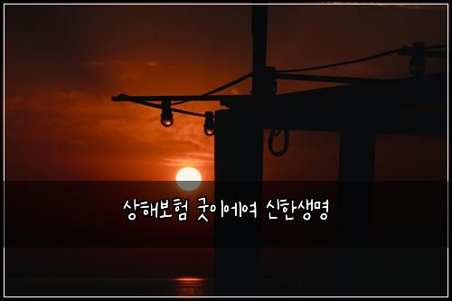 상해보험 굿이에여  신한생명