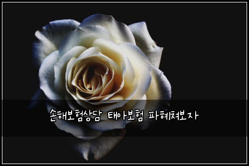 ์ํด๋ณดํ์๋ด ํ์๋ณดํ ํํ์ณ๋ณด์