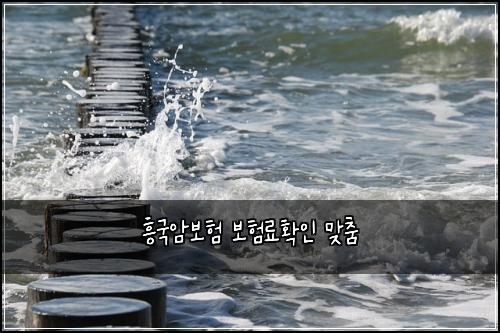 흥국암보험 보험료확인  맞춤