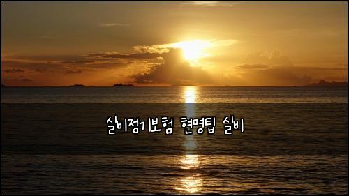 ์ค๋น์ ๊ธฐ๋ณดํ ํ๋ช
ํ ์ค๋น