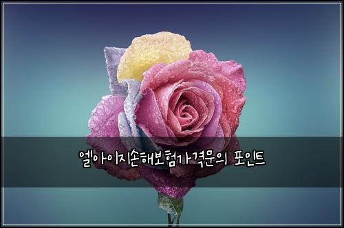 엘아이지손해보험가격문의 포인트