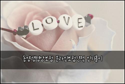 동양생명암보험 온라인보험견적 인기몰이