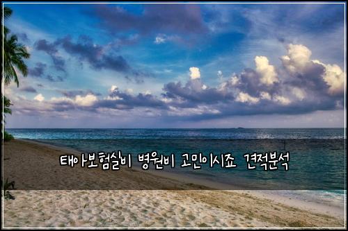 ํ์๋ณดํ์ค๋น ๋ณ์๋น ๊ณ ๋ฏผ์ด์์ฃ ๊ฒฌ์ ๋ถ์