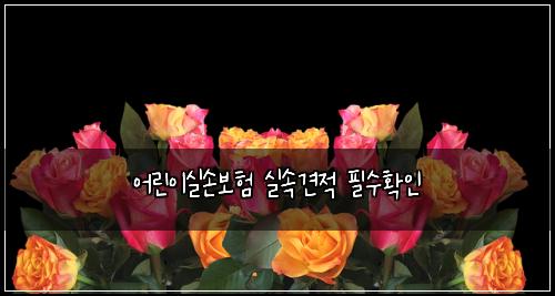 어린이실손보험 실속견적  필수확인