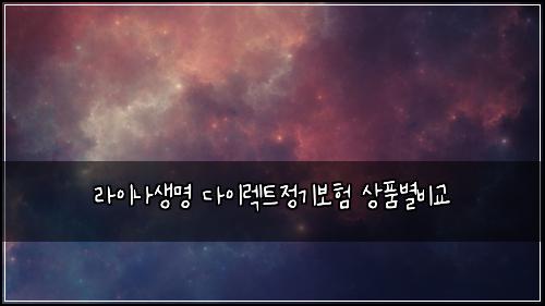 라이나생명 다이렉트정기보험 상품별비교 