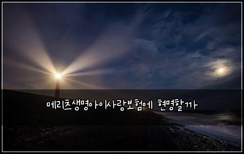 ๋ฉ๋ฆฌ์ธ ์๋ช
์์ด์ฌ๋๋ณดํ์ ํ๋ช
ํ ๊น