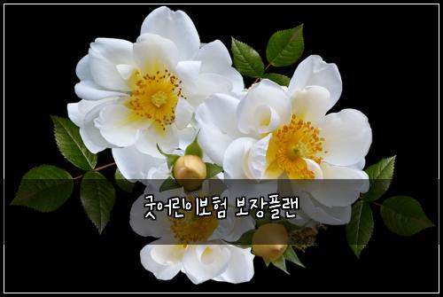 ๊ตฟ์ด๋ฆฐ์ด๋ณดํ ๋ณด์ฅํ๋
