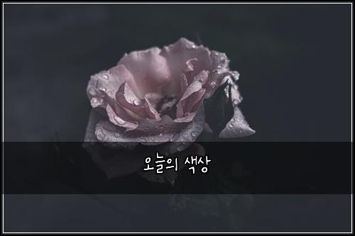 오늘의 색상