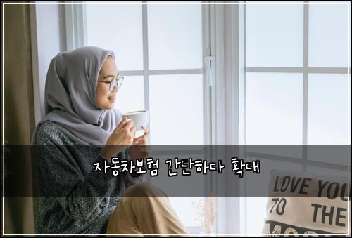 자동차보험 간단하다  확대