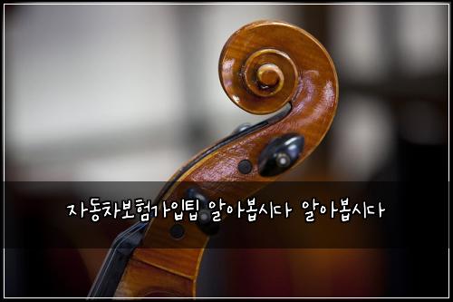 자동차보험가입팁 알아봅시다 알아봅시다