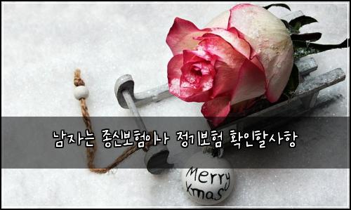 남자는 종신보험이나 정기보험 확인할사항