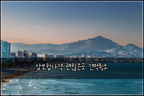 ์๋ณดํ๊ฐ๊ฒฉ ๊ด์ฐฎ์๊ณณ ๊ฒฌ์ ์ต์ค
