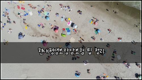 현대평생보장암보험 팁  정리