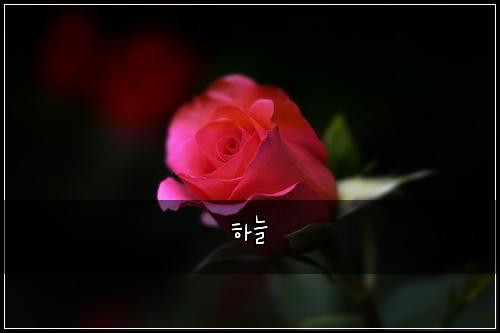하늘