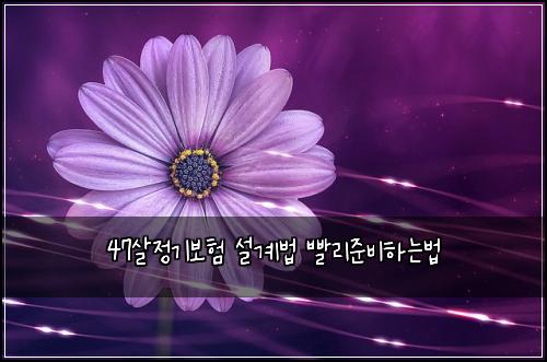 47살정기보험 설계법  빨리준비하는법