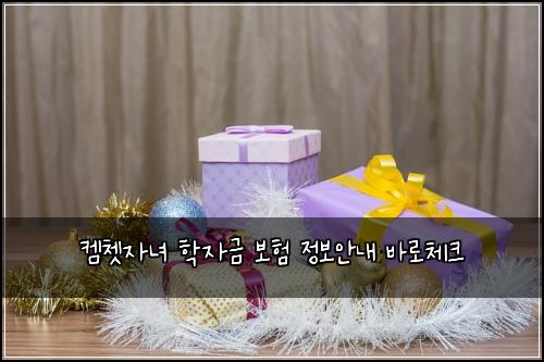 켐쳇자녀 학자금 보험 정보안내  바로체크