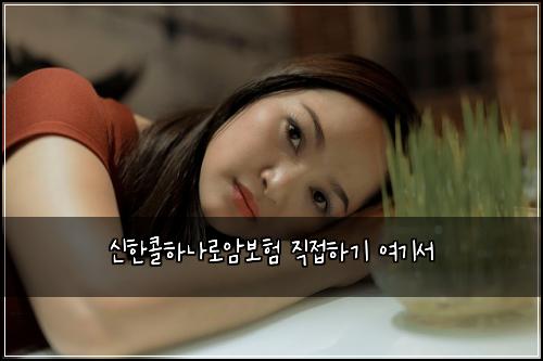 신한콜하나로암보험 직접하기  여기서