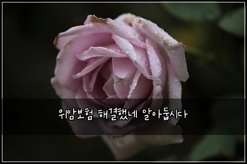 ์์๋ณดํ ํด๊ฒฐํ๋ค ์์๋ก์๋ค
