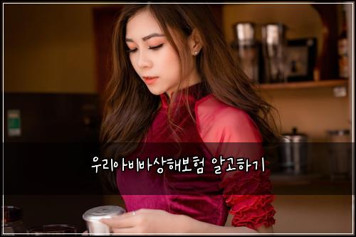 우리아비바상해보험 알고하기 