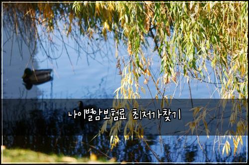 나이별암보험료 최저가찾기