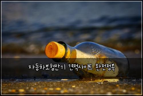 ์๋์ฐจ๋ณดํ๋ง๊ธฐ ๊ฒฌ์ ์ฌ์ดํธ ์์ ์ ๋ณต