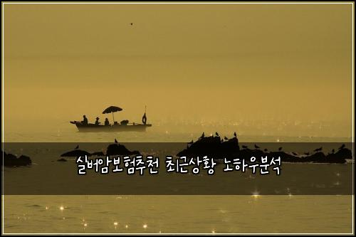 ์ค๋ฒ์๋ณดํ์ถ์ฒ ์ต๊ทผ์ํฉ ๋
ธํ์ฐ๋ถ์