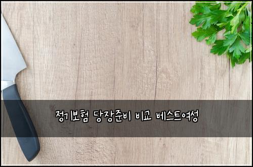 정기보험 당장준비  비교 베스트여성