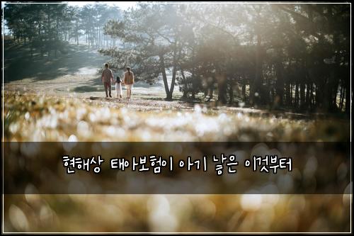 현해상 태아보험이 아기 낳은 이것부터