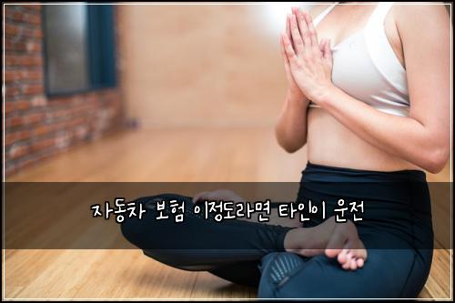 자동차 보험 이정도라면  타인이 운전